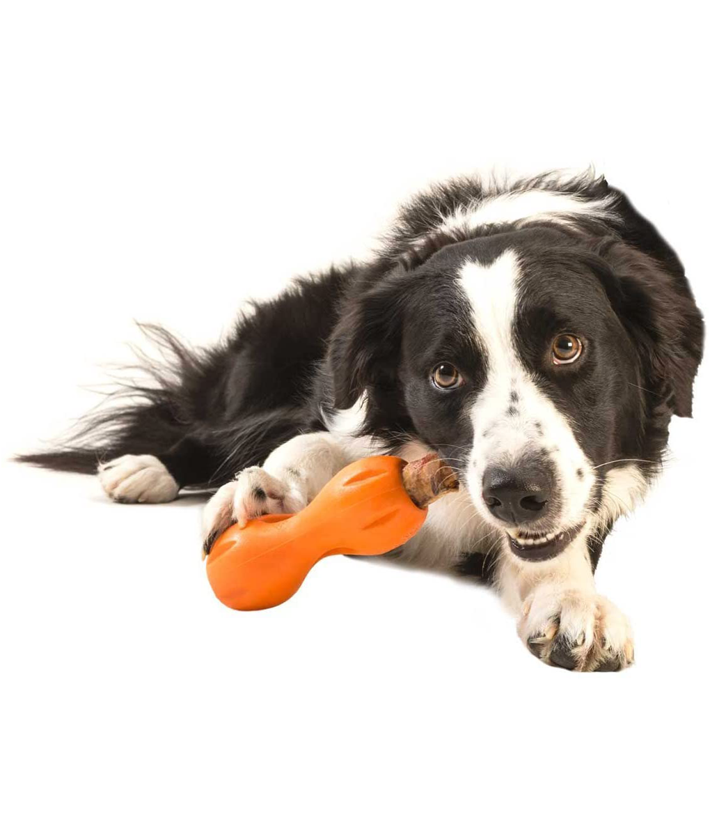 Qwizl Interactive Treat Dog Toy